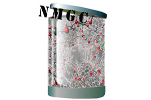 Nanoporous Materials Genome Center